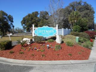 100 Turtle Run, Umatilla, FL 32784-9545
