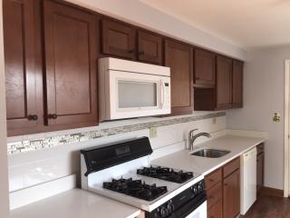 821 Sweetleaf Dr, Monroeville PA  15146-1139 exterior