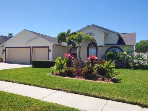 9813 La Rita Pl, Riverview, FL 33569-5568