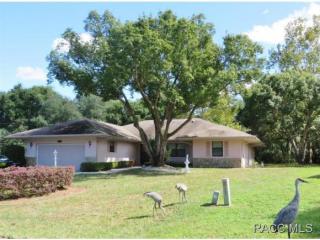 3419 Crossbill Loop, Inverness, FL 34450-8842