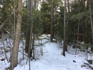 6 Ellison Ln, Lee, NH 03824-4215