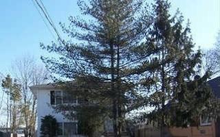 538 Oak St, Copiague, NY 11726-3218