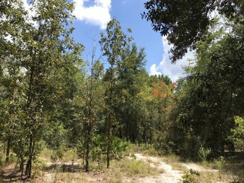 1400 22nd Ct, Bell, FL 32619-2652