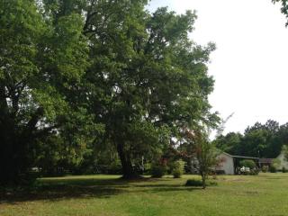 8554 Doar Rd, Awendaw, SC 29429-6037
