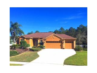 14262 Creek Run Dr, Riverview, FL 33579-6514