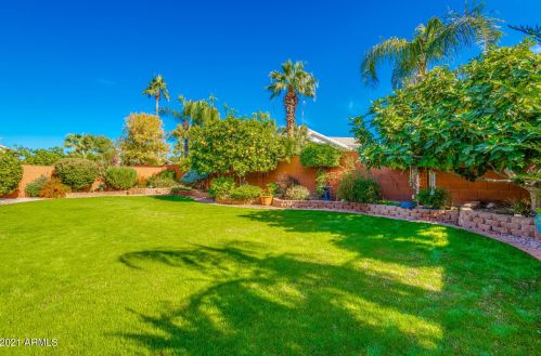 15601 11 Ave, Phoenix AZ 85021-4407 exterior