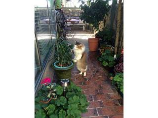 226 Maricopa Dr, El Paso TX  79912-4402 exterior