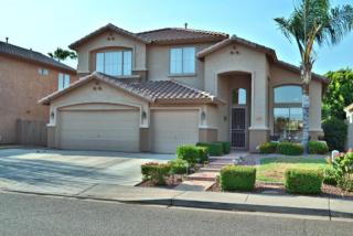 5958 Sack Dr, Glendale, AZ 85308-7611
