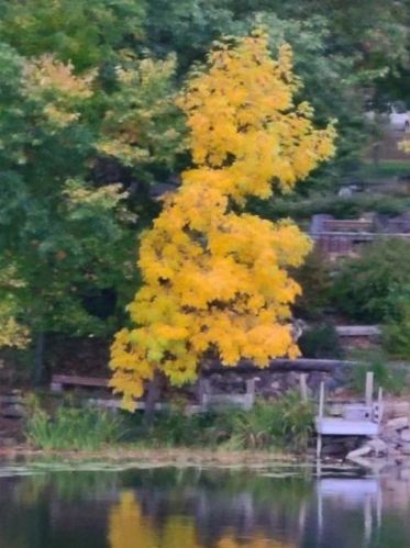 7991 Braddock Ave, Monticello MN  55362-3131 exterior