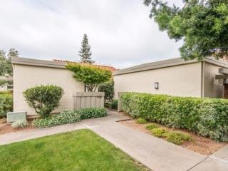 10942 Sweet Oak St, Cupertino CA  95014-0124 exterior