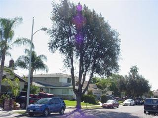 15503 Stanford Ave, Compton, CA 90220-3332