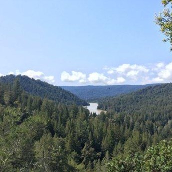 10680 Vera Ave, Felton CA  95018-8936 exterior