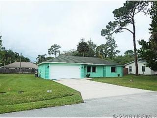 2318 Vista Palm Dr, Edgewater FL  32141-4316 exterior