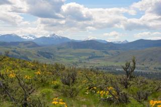 238 Studhorse Mountain Rd, Winthrop WA  98862-9128 exterior