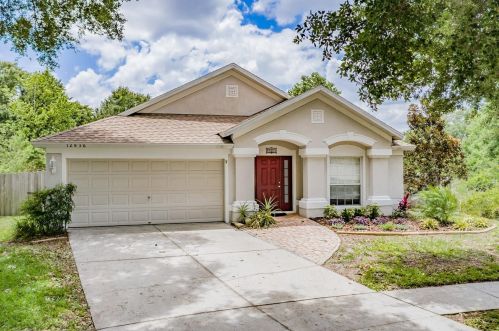 12836 Early Run Ln, Riverview, FL 33578-3376