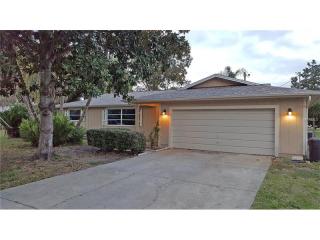 2134 Telogia Ct, Tarpon Springs, FL 34690-4359