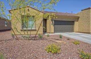 16360 Piccadilly Rd, Goodyear, AZ 85395
