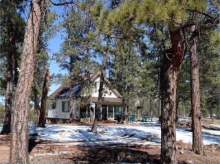 939 Appleby Dr, Deckers, CO