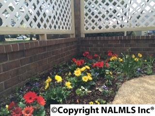 209 Danville Ct, Huntsville, AL 35802-4517