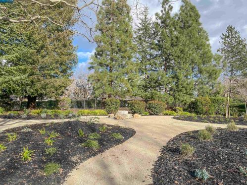 203 Powhattan Ct, Danville, CA 94526-5545