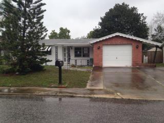 1298 Chelsea Ln, Tarpon Springs, FL 34691-4909