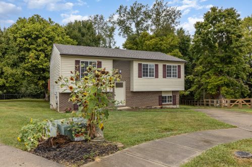 6 Springwood Dr, Grants Lick, KY 41001-1384