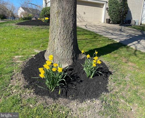 2123 Basswood Dr, Miquon PA 19444-2328 exterior