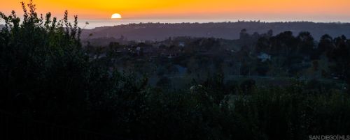 8411 Run Of The Knolls Ct, San Diego CA  92127 exterior