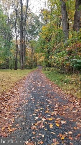 16400 Jackson Hollow Rd, Haymarket, VA 20169-2112