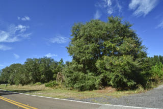 1413 Butch Cassidy Trl, Wimauma, FL 33598-7607