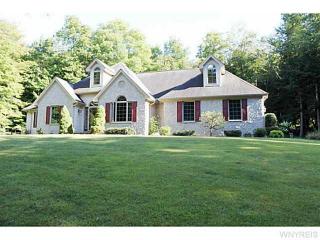 9014 Douglas Ln, Boston, NY 14025-9779