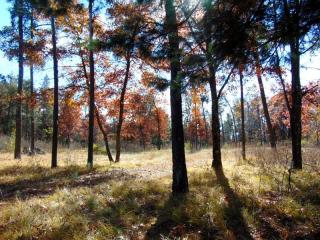 987 West Ct, Nekoosa, WI 54457-9050