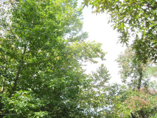 22 The Palisades, Williamsburg, VA