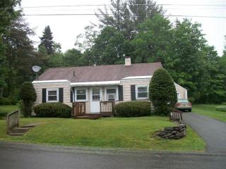 16 Howard St, Springvale, NY 13815-1206