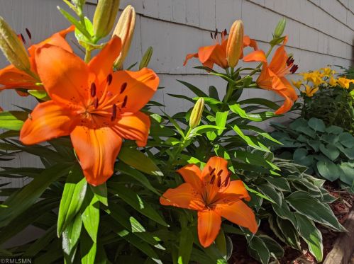 411 5th Ave, Saint Cloud MN 56301-4392 exterior