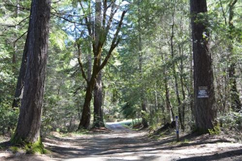 77781 Highway 101, Piercy, CA 95587