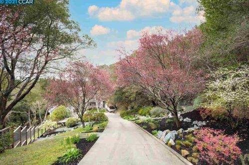 20 Alice Pl, Orinda, CA 94563-3600