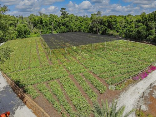 1240 Enterprise Osteen Rd, Deltona FL  32725-9401 exterior