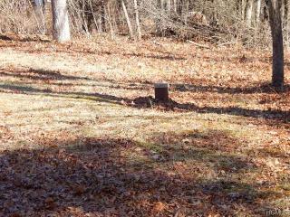 15 Old Rd, Godeffroy, NY 12729-5504