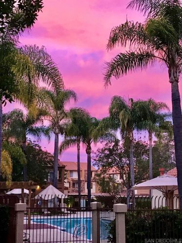 13402 Tiverton Rd, San Diego CA  92130-1021 exterior