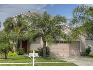 1733 Mosaic Forest Dr, Seffner FL  33584-5567 exterior