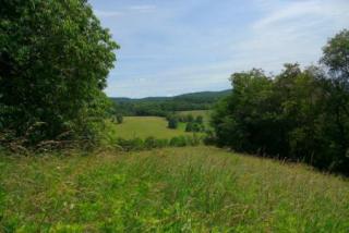 9868 Blue Grass Trl, Bland, VA 24315-4926