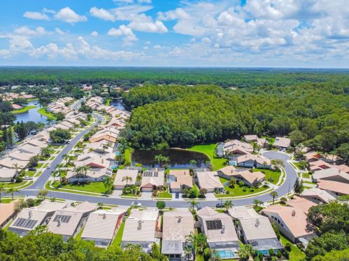 3664 Darston St, Palm Harbor FL  34685-1182 exterior