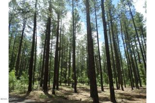 3121 Strawberry Hill Rd, Pinetop, AZ 85935-8039