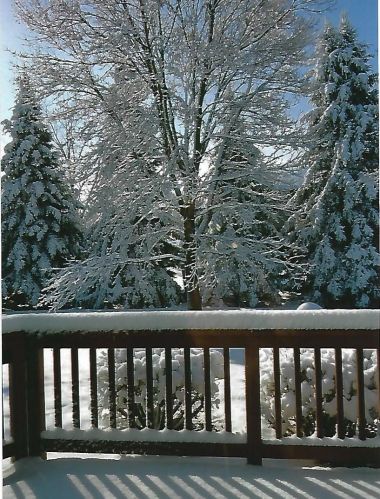 1103 Eagle Ridge Ct, Stillwater MN  55082-9151 exterior