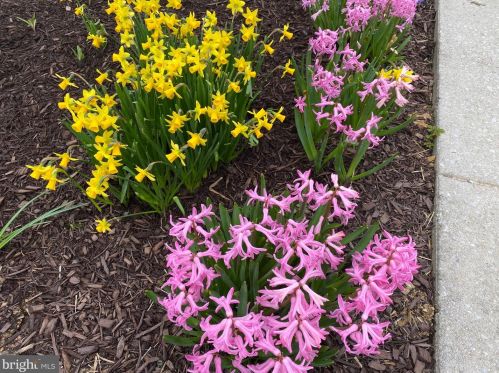 1580 Trolley Rd, Hanover PA  17331-6825 exterior