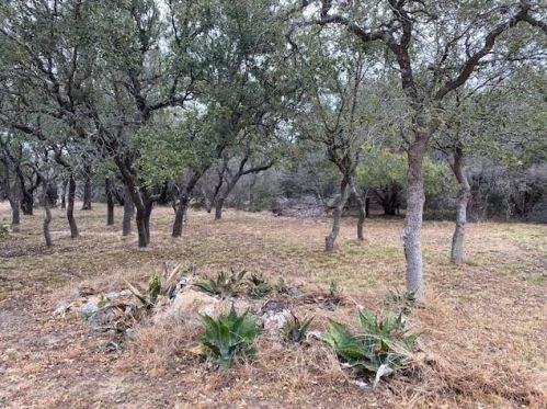 560 Longview Rd, Mount Sharp, TX 78620-3593
