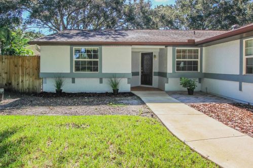 569 Hammock Dr, Palm Harbor, FL 34683-6114