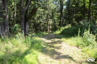 12513 Pleasant Grove St, Montpelier, LA 70422