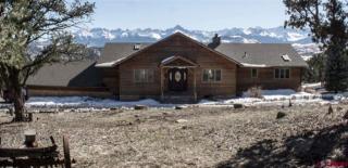 228 Pleasant Valley Ct, Ridgway, CO 81432-9470
